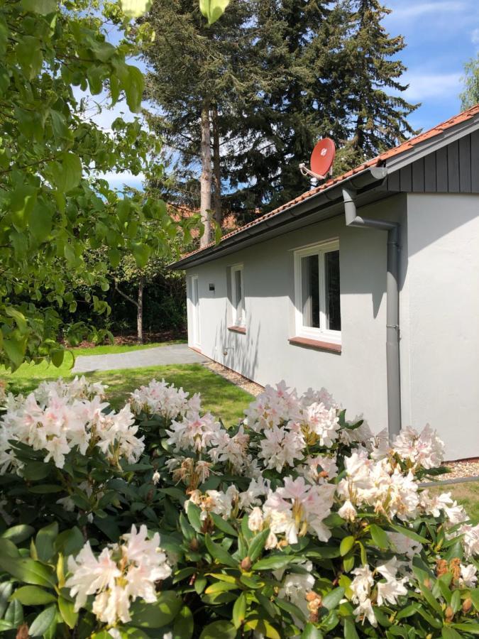 Kleine Auszeit In Salzhausen Vila Exterior foto